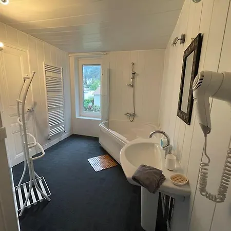 Qouei Eichi La Maison Fleurie Piscine Campagne * Bas-en-Basset